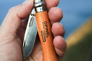 Нове надходження Opinel фото