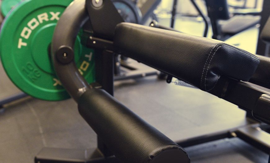 Тренажер для разгибания ног Toorx FWX-4800 LEG EXTENSION 931799 фото