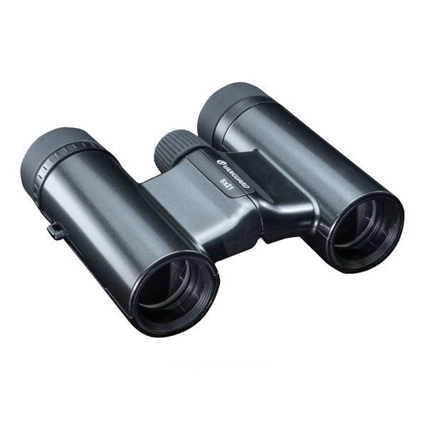 Бінокль Vanguard Vesta Compact 8x21 WP Black Pearl (Vesta 8210 BP) DAS301032 фото