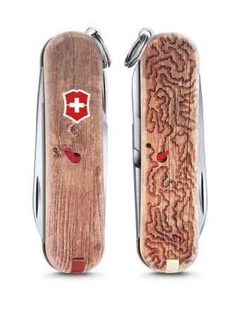 Швейцарский нож Victorinox Сlassic Woodworm 0.6223.L1706 4007100 фото