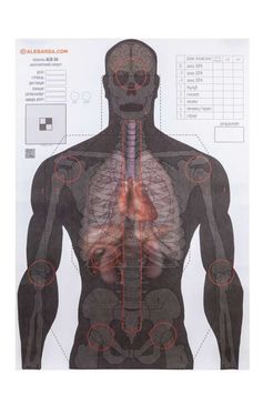 Мишень Алебарда "Анатомический силуэт" ALB-50 34130231 фото