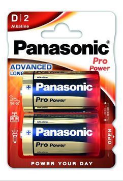 Батарея Panasonic PRO POWER D BLI 2 39920049 фото