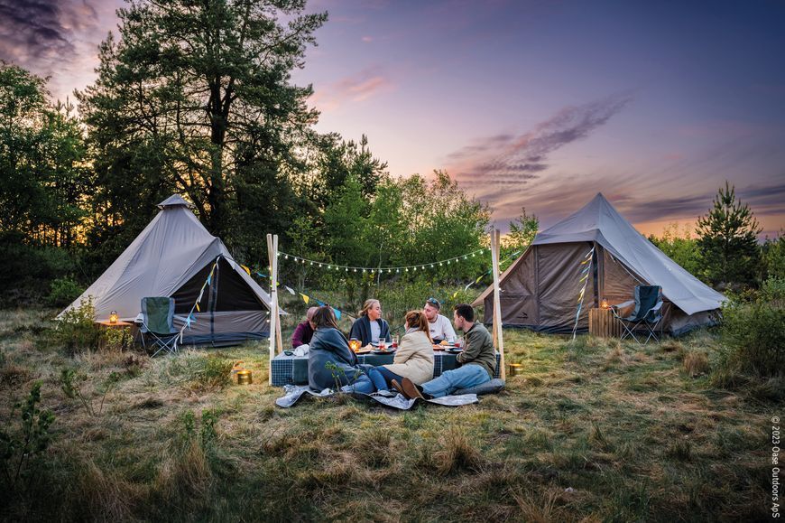 Намет десятимісний Easy Camp Moonlight Cabin Grey (120444) 929830 фото