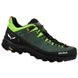 Кросівки Salewa ALP Trainer 2 Mns 013.001.5617 фото