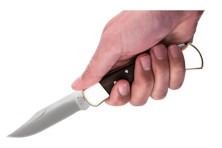 Ніж Buck Folding Hunter 110BRSB 4001964 фото