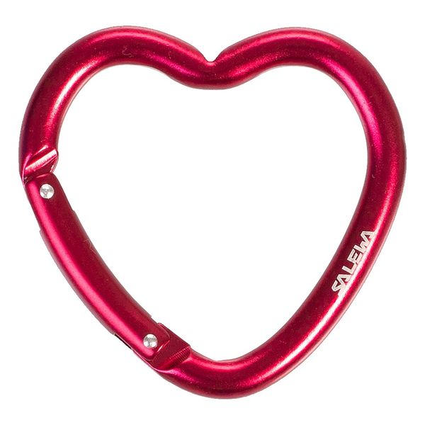 Брелок Salewa Heart Carabiner 013.003.1433 фото