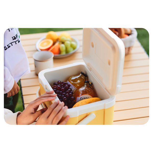 Туристический холодильник Naturehike CNK2450CF012, 5 л, Желтый 6975641884491 100000651 фото