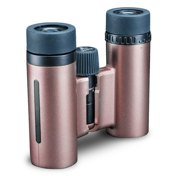 Бінокль Vanguard Vesta Compact 10x21 WP Rose Gold (Vesta 1021 Rose) DAS301033 фото