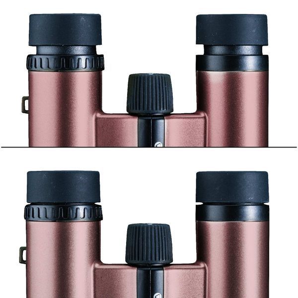 Бінокль Vanguard Vesta Compact 10x21 WP Rose Gold (Vesta 1021 Rose) DAS301033 фото