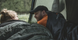 Намет двомісний Easy Camp Rondane 2 120469 931541 фото 10